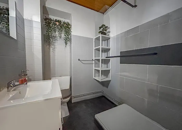 Vue Sur La Bastille Appt Calme Et Cosy Appartement